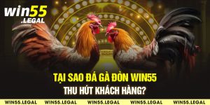 Trả thưởng cho người chơi cực khủng và nhanh chóng