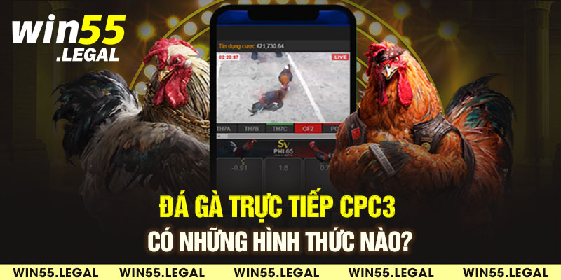 Các hình thức trong trực tiếp đá gà CPC3