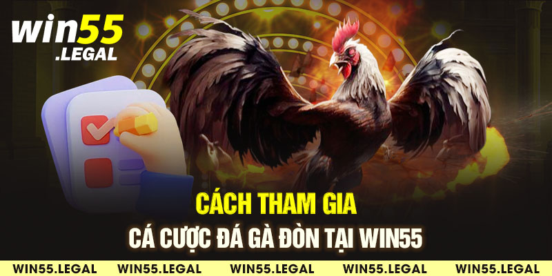 Các thao tác tham gia cá cược đá gà nòi Win55