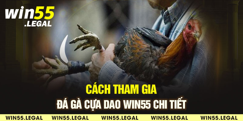 Khuyến mãi đá gà lớn từ Win55