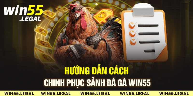 Cách tham gia cá cược chọi gà Win55 cực dễ